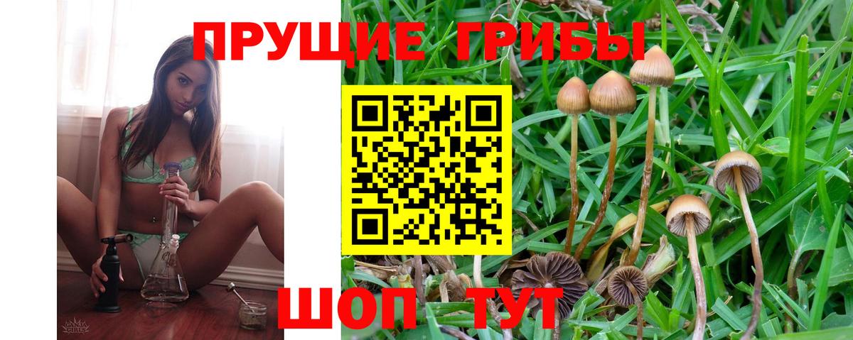 Псилоцибиновые грибы мухоморы Туапсе